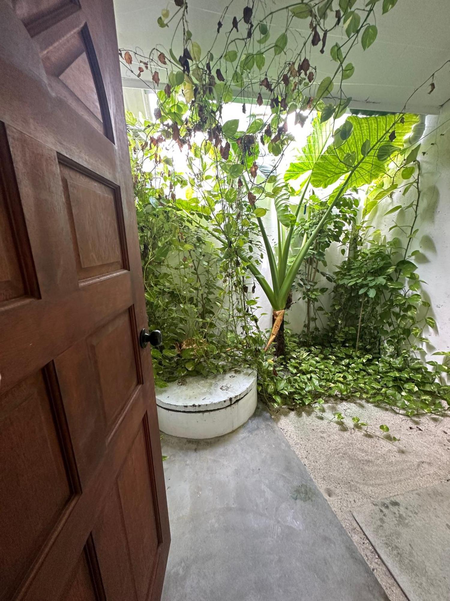 Hotel Aqua Oasis à Thoddoo Extérieur photo